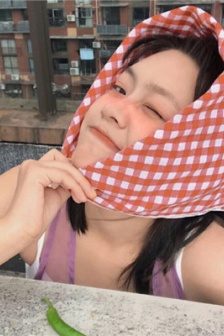 夏日大作战国语