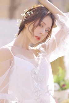 花蝴蝶免费版大全多少集